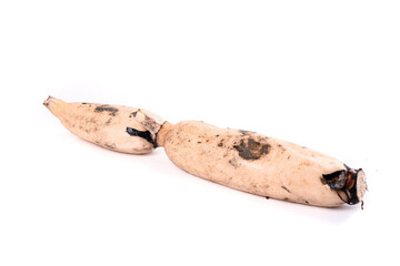 Obraz premium Fresh Lotus Root from Honghu Lake, Hubei Province
