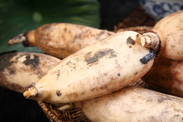 Fresh Lotus Roots from Honghu, Hubei - Natural Dietary Vegetable