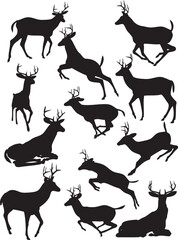 Silhouette Collection of Deer in Various Poses stag