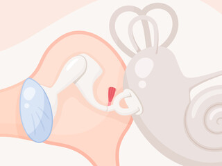 アブミ骨筋のイラスト素材