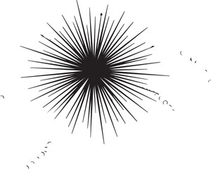 Fototapeta premium Abstract black starburst pattern on white background