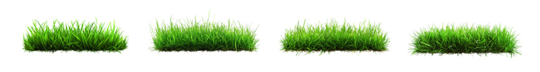 set of Green grass on transparent background. Spring or summer plant lawn png