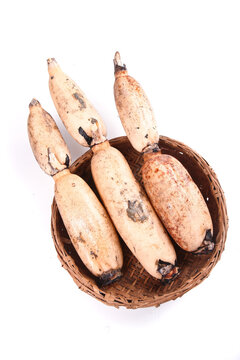 Fresh Lotus Root Honghu Hubei in Wicker Basket