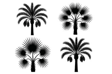 Fototapeta premium Silhouettes of four distinct tropical palm trees in black and white