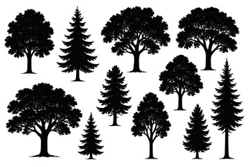 Collection of black silhouettes of deciduous and coniferous trees on white background