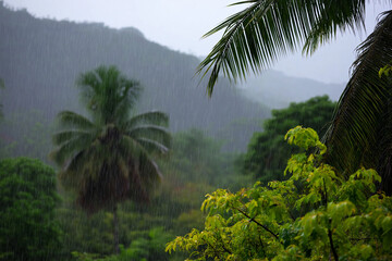 Fototapeta premium A serene tropical landscape during a heavy rain shower, with palm trees swaying gently against the backdrop of misty mountains, creating a sense of tranquility and reflection.