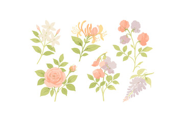 Elegant floral arrangement featuring pastel roses, jasmine, lavender, honeysuckle illustrations