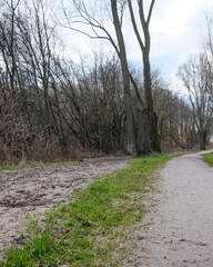 Nature trail winding through trees on a cloudy day with patches of grass and dirt path