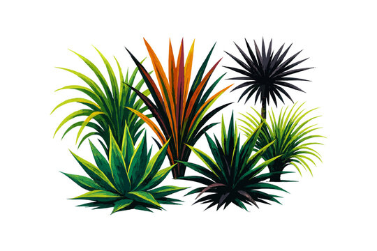 Variety of vibrant tropical plants on white background