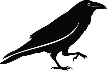 Silhouette of a crow isolated on transparent background