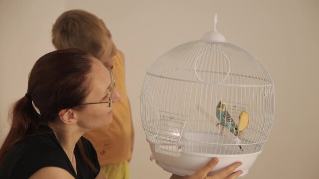 Mother and son watching new pet budgie bird in cage