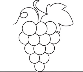Organic Grape Vine Line Illustration Vineyard Fruit Logo Concept