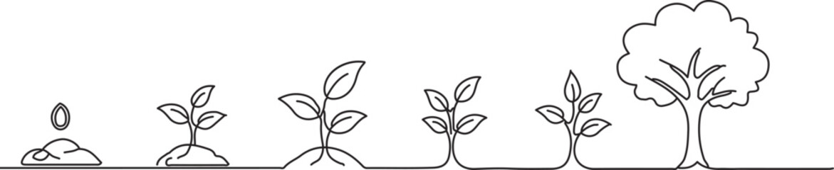 Tree Planting Growth Stages Line Infographic Gardening Concept