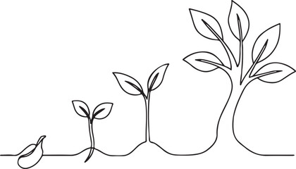 Seed To Tree Growth Cycle Line Art Environmental Infographic