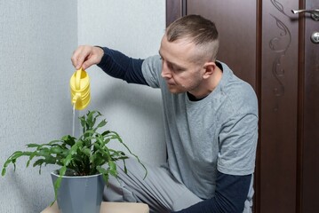 Watering a potted plant with a watering can. A man is caring for his houseplant. Fertilizing indoor flowers.