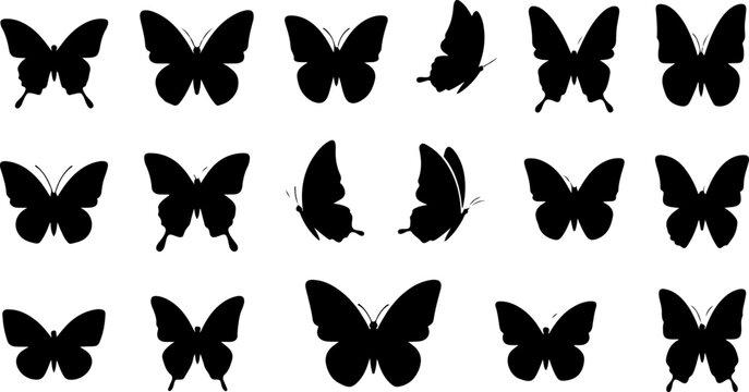 Butterfly Silhouette Collection Vector Set