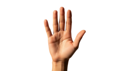 Human hand open isolated PNG on transparent background, showing five fingers for counting or gesturing, anatomical detail