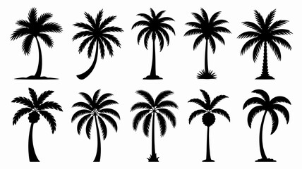Set of Black Silhouette Palm Trees in Various Styles