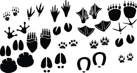 Collection of Animal Footprints and Paw Prints Silhouettes
