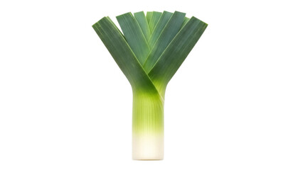 Fresh green leek isolated PNG on transparent background, healthy vegetable for cooking and culinary use, allium ampeloprasum