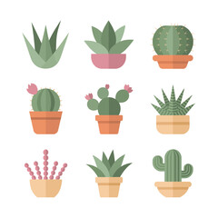 Cute cactus and succulent illustration set with flowering desert plants ceramic pots home decor flat vector collection