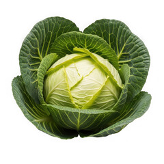 Fototapeta premium Fresh cabbage head isolated on transparent background