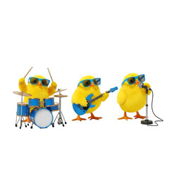 Fluffy Chick Rock Band: Drums, Guitar, Vocals