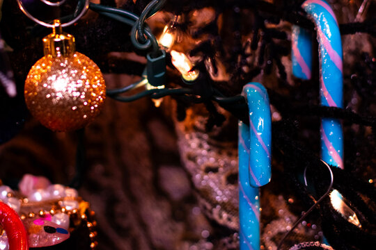 Close up of a light blue candy cane hanging on a tree as holiday decor. The tree is lit with lights and has a shiny gold ornament hanging close to the candy decor. 