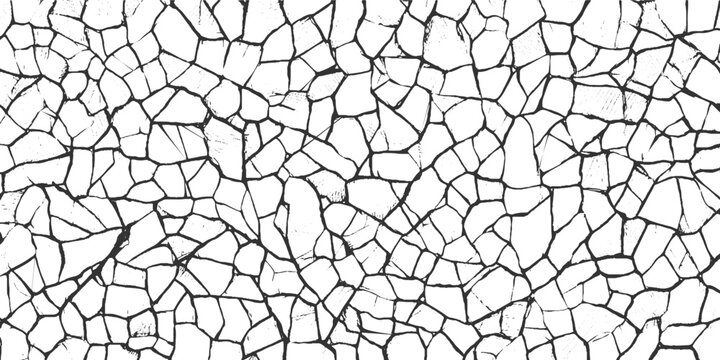 Black and white abstract pattern of irregular polygonal shapes resembling cracked earth or shattered glass
