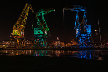 Trójkolorowe żurawie © Przemek Ogrodzinski