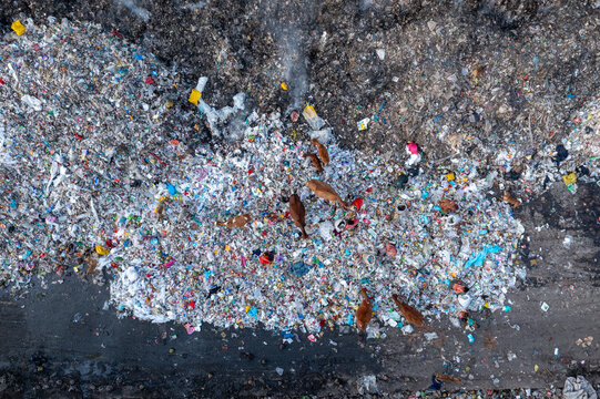 Aerial view of cows grazing on a landfill amidst scattered waste, creating a stark contrast between nature and pollution, Chattogram, Chittagong Division, Bangladesh.