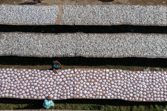 Aerial view of rows of fish laid out to dry under the sun, with workers tending to the process, creating a textured landscape, Chattogram, Chittagong Division, Bangladesh.