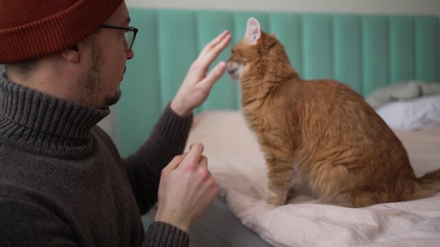 Millennial man playing with his aggressive ginger cat on a bed when the pet suddenly bites and scratches his hand, leaving visible marks, showcasing problematic animal behavior at home