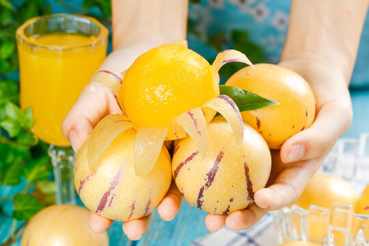 Fresh Yellow Desert Melons from Gansu - Sweet Fruit Produce