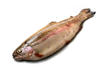 Trota salmonata fresca e isolata su fondo bianco 