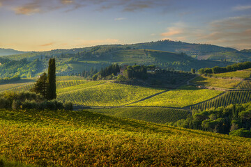 Fototapeta premium Autumn Chianti Vineyards and Villa near Panzano, Tuscany, Italy