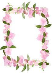 Vertical floral frame made of soft pink hydrangea flowers isolated on a white background. Perfect for invitations, posters, templates, and elegant botanical layouts