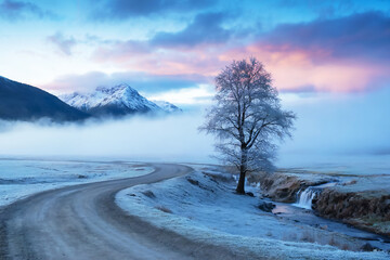 Winter Landscape with Frosted Tree and Mountain Fog