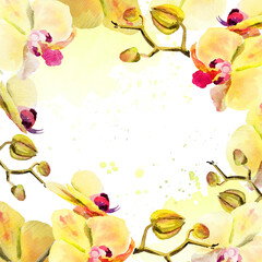 watercolor frame with yellow and red orchid flowers, buds and twigs on textured splash, hand drawn tropical plant, floral sketch of blossom flowers, botanical illustration for wedding decoration