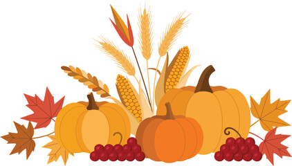 Autumn harvest composition with pumpkins corn wheat and berries on transparent background for thanksgiving celebration design