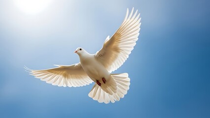 Fototapeta premium A pure white dove is captured mid-flight against a bright blue sky. The dove is positioned centrally and slightly angled downward, with its wings fully extended and spread wide