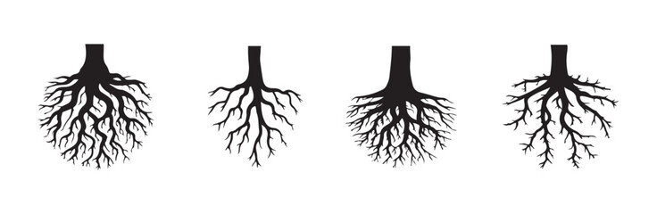 Four distinct vector illustrations of tree trunks with spreading root bases for comparison or educational use