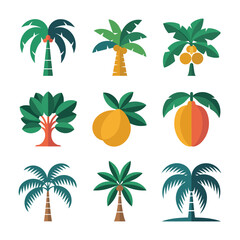 Obraz premium Palm tree and fruit icon collection, tropical plants coconut banana symbols, summer nature theme, colorful flat vector illustration set