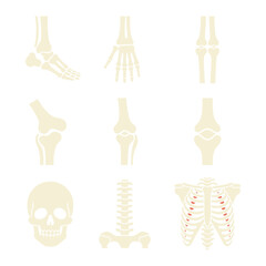 Fototapeta premium Human skeleton anatomy icon set featuring bones joints spine skull medical education flat vector illustration collection