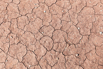 Dry cracked clay soil texture background. Parched earth surface with fine fissures. Natural drought pattern from above. Arid ground detail for design use. Climate change and water scarcity concept.