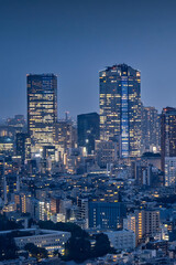 Obraz premium Tokyo Skyline at Dusk with Illuminated Skyscrapers and City Lights