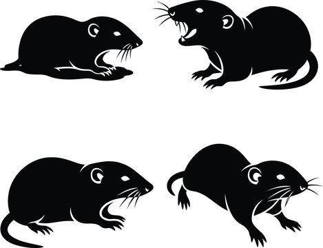 Vector silhouette illustration set of wild rat or mice in various poses, including an aggressive one with open mouth, pest animal emblem collection.