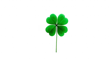 Four leaf clover green plant isolated on transparency background symbol of luck nature botanical rare cheerful fresh spring hope happiness