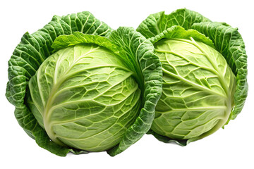 Two green cabbages with textured leaves on white background isolated on a transparent background vegetable
