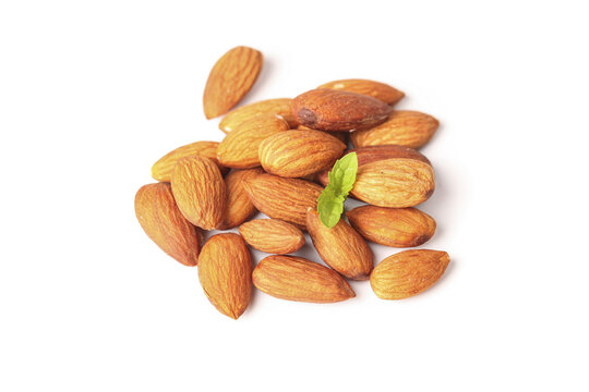 Fresh Peeled Almond Kernels - Healthy Nuts for Snacking